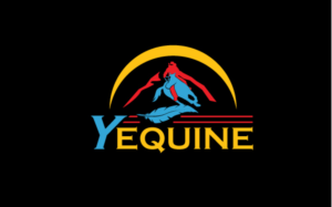 Logo-Design von Kanaip für Zoom Productions | Design: #20484255