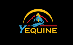 Logo-Design von Kanaip für Zoom Productions | Design: #20489718