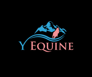 Logo-Design von creativerahman82 2 für Zoom Productions | Design: #20305230