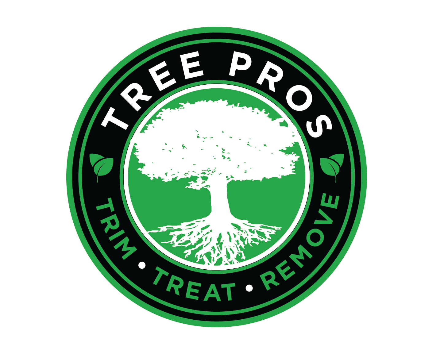 Logo Design by artguy1062 for this project | Design #20294080