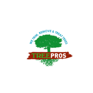 Logo Design by AntonioTruong