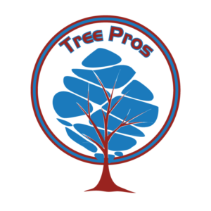 Logo Design by MGC creazioni grafiche for this project | Design: #20299991