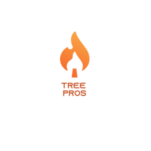Logo Design by ashraph elhaphyani 2