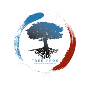 Diseño de Logo por botage last 2 para este proyecto | Diseño #20328655