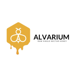 Logo Design by BlueStripsOnly
