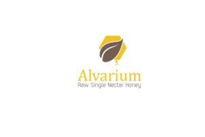 Logo Design by Bojan1