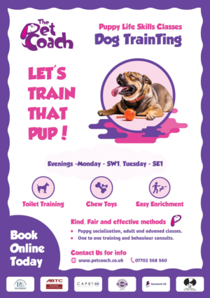 Flyer Design by WirePaper