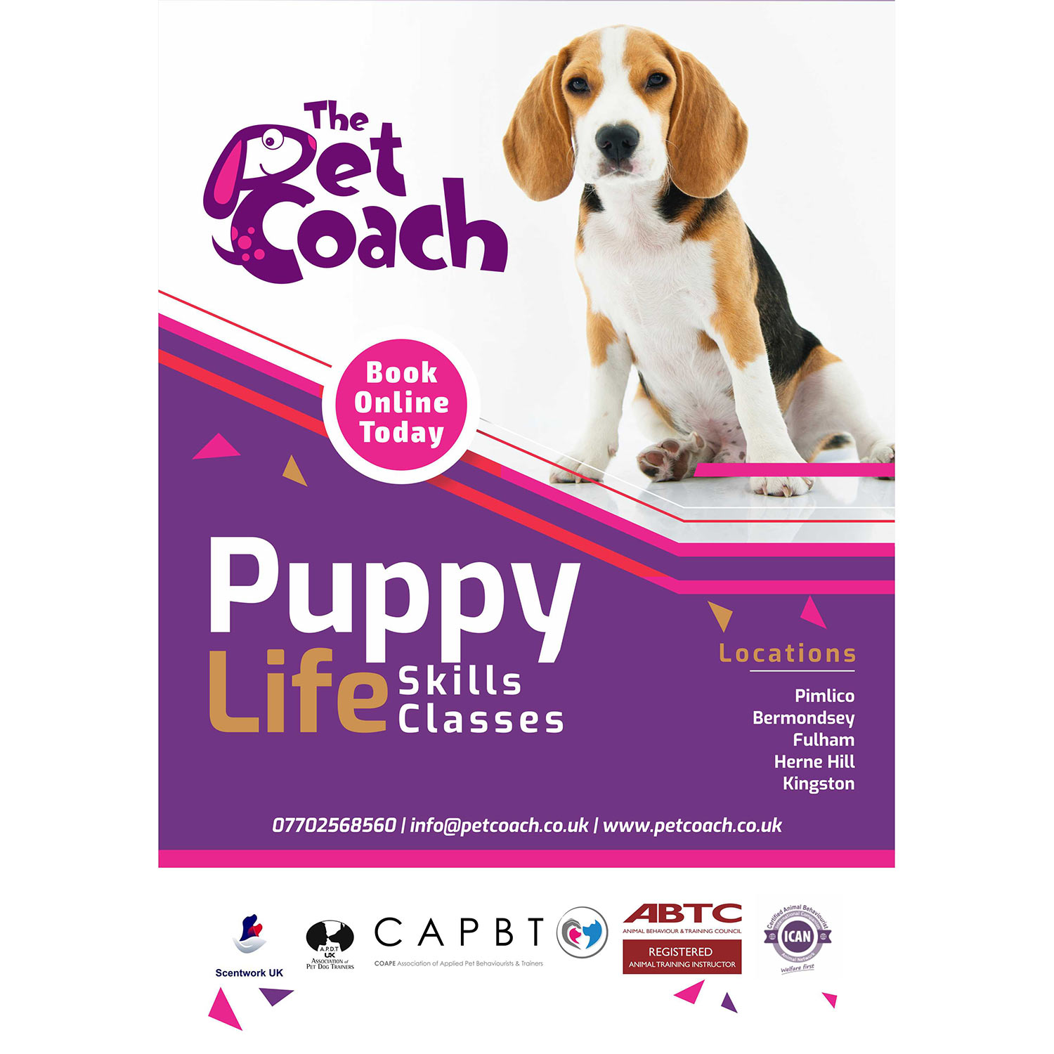 Flyer Design by veeBC for this project | Design #20293901