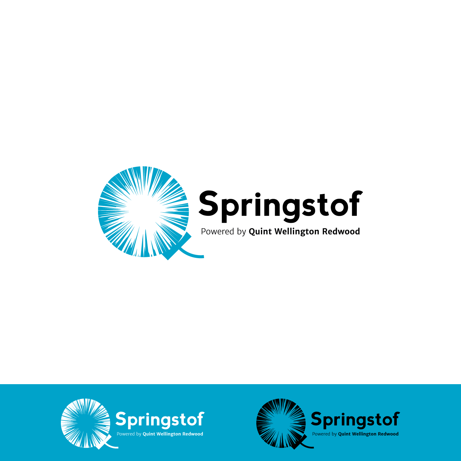 Design de Logo par Ellie Afonso pour Quint | Design #20342474