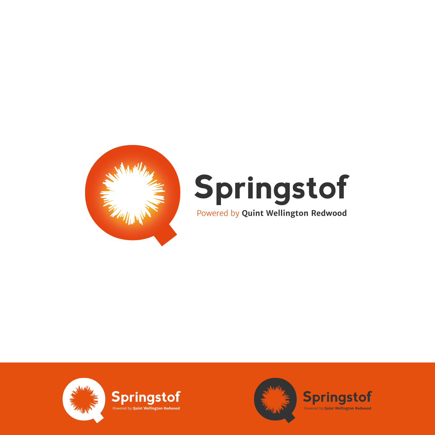 Logo Design by Ellie Afonso for Quint | Design #20343650