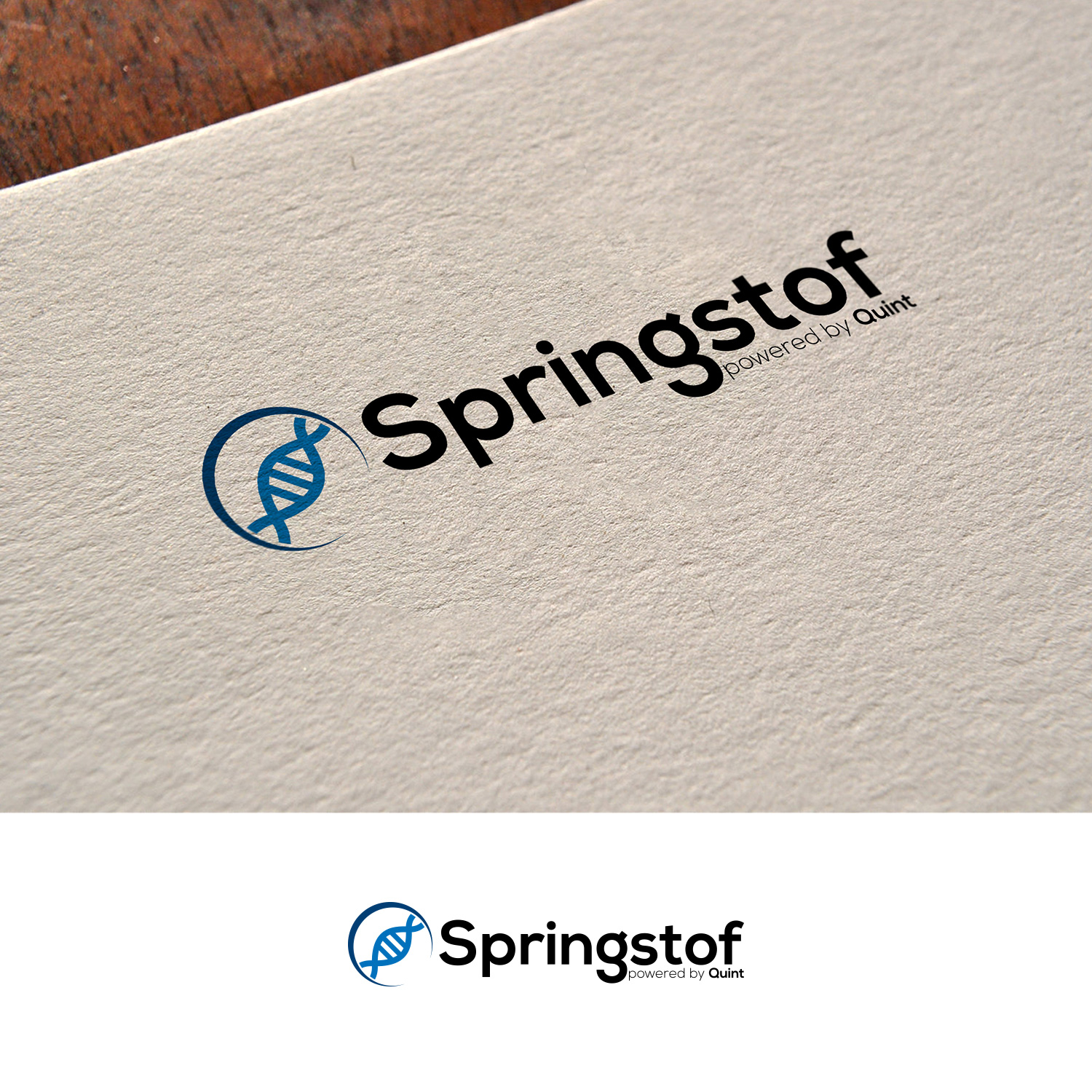 Logo Design by DesignDUO for Quint | Design #20321412