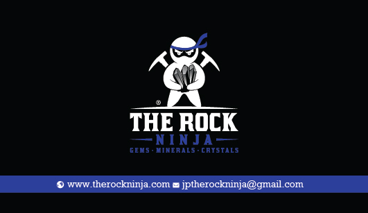 Business Card Design by chandrayaan.creative for The Rock Ninja | Design #21957851