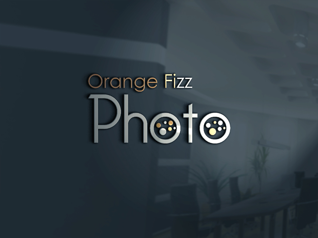 Logo Design by Rosaleen for this project | Design #20319471