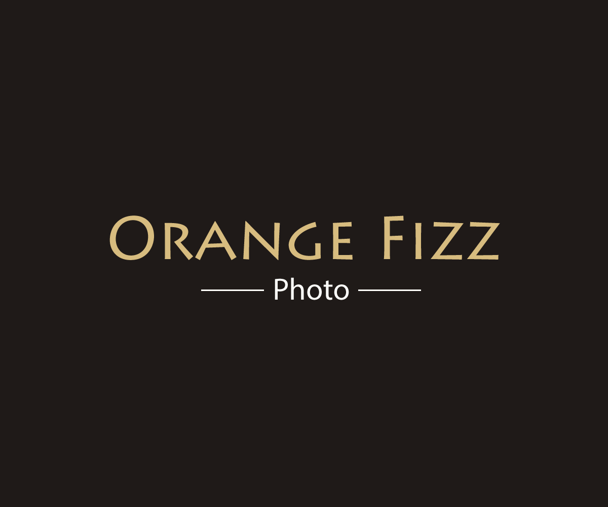 Logo Design by vedar_studios for this project | Design #20364484