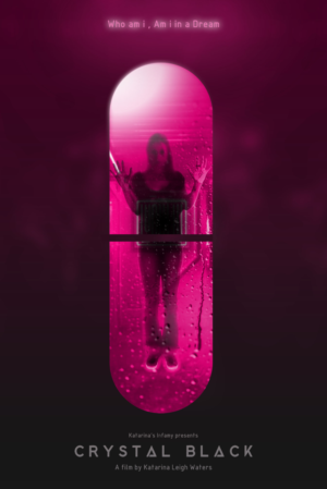 Design de Poster par S J pour Katarina's Infamy | Design : #20401977