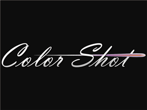 Logo Design by Translunity