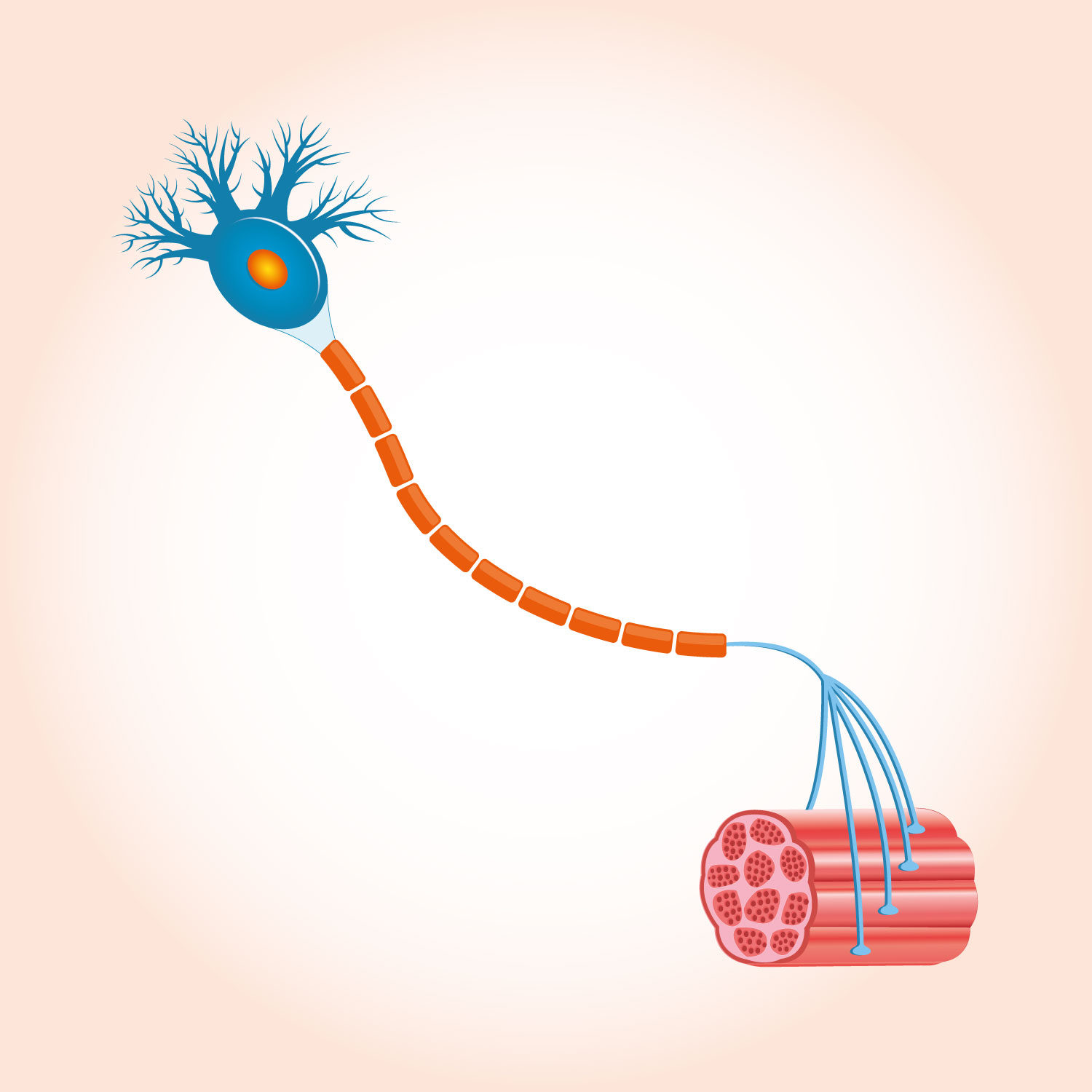 Design Graphique par Nightmist pour ce projet | Design #20327127