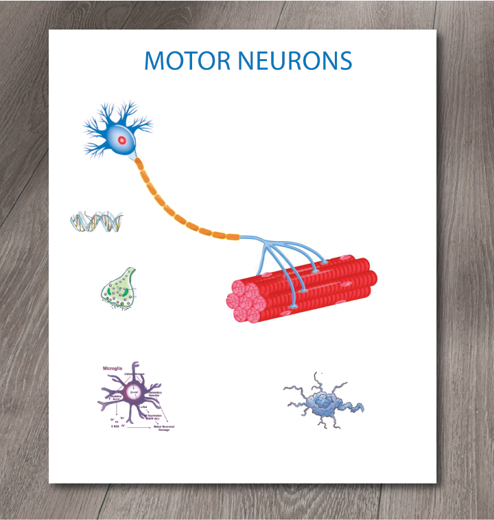 Design Graphique par alex989 pour ce projet | Design #20320735