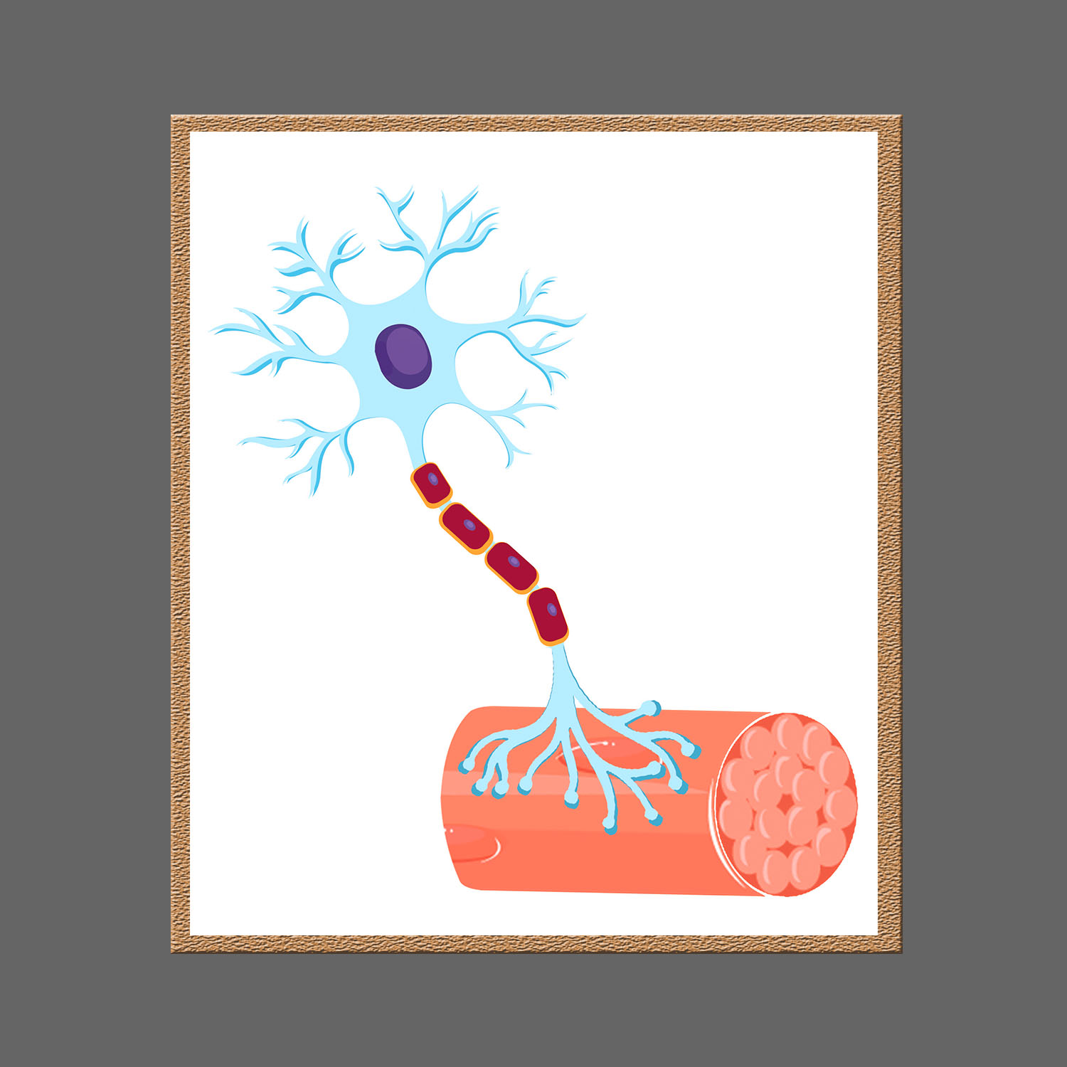 Graphic Design by aspiremedia for this project | Design #20326199