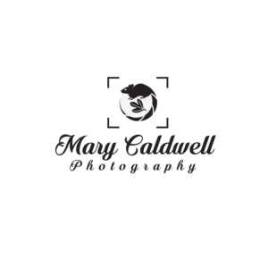 Logo Design by creative.bugs for this project | Design: #20332728