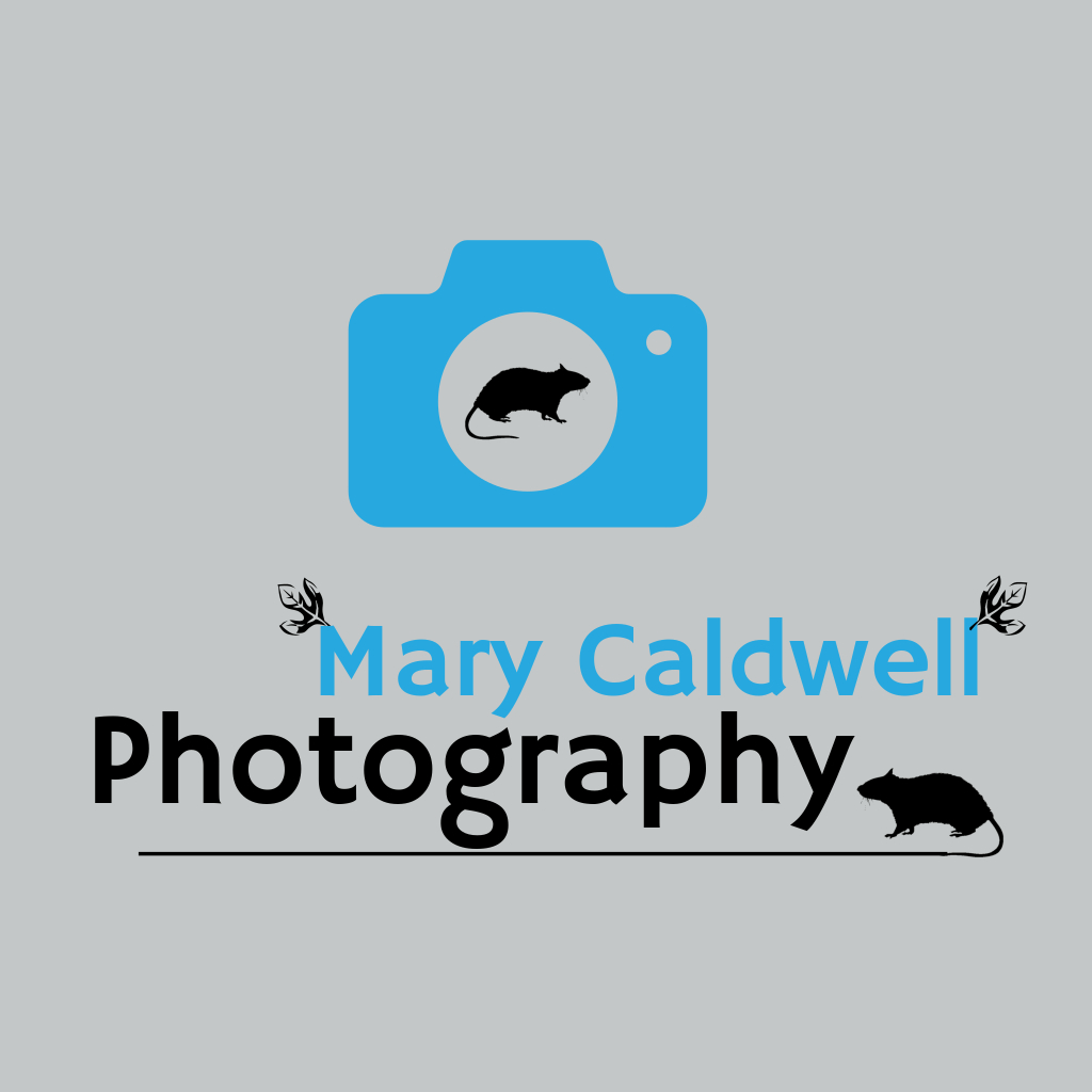 Logo Design by Zimmydesgin for this project | Design #20326950