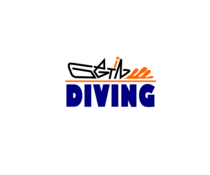 Logo Design by symbolman for Get in Diving Ltd | Design #20326400