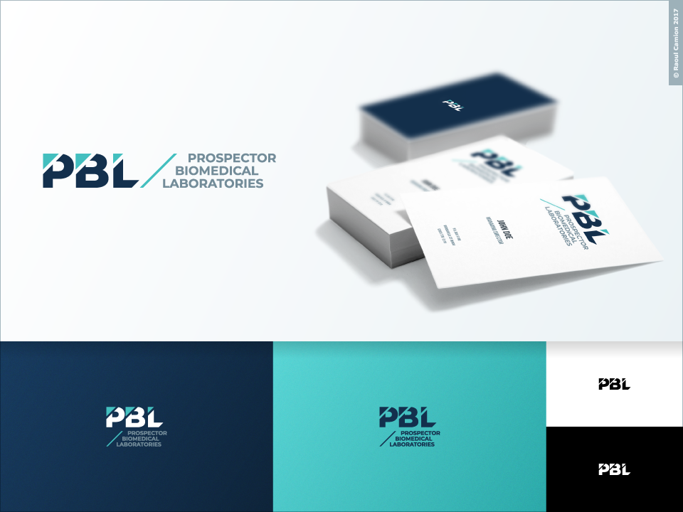 Logo Design by Raoul Camion for this project | Design #20333693