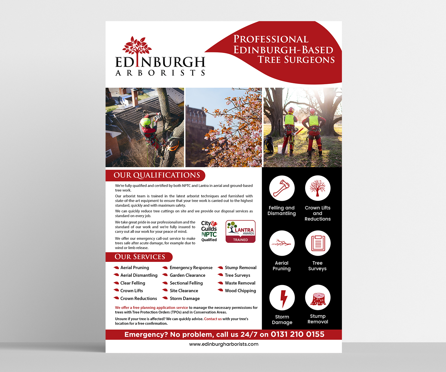 Flyer Design by aspiremedia for Edinburgh Arborists | Design #20330390