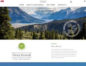 Banner Ad Design by Kristina Andonoff for this project | Design: #20360019