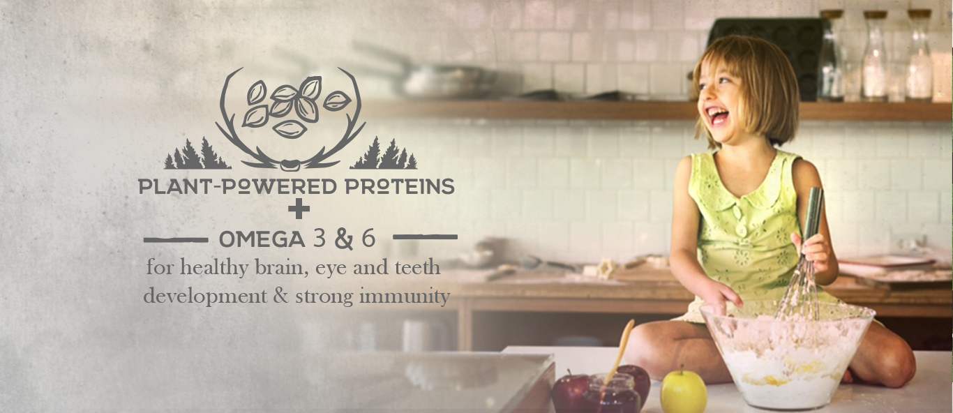 Banner Ad Design by Kristina Andonoff for this project | Design #20574138