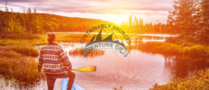 Banner-Design von Kristina Andonoff für dieses Projekt | Design: #20578976