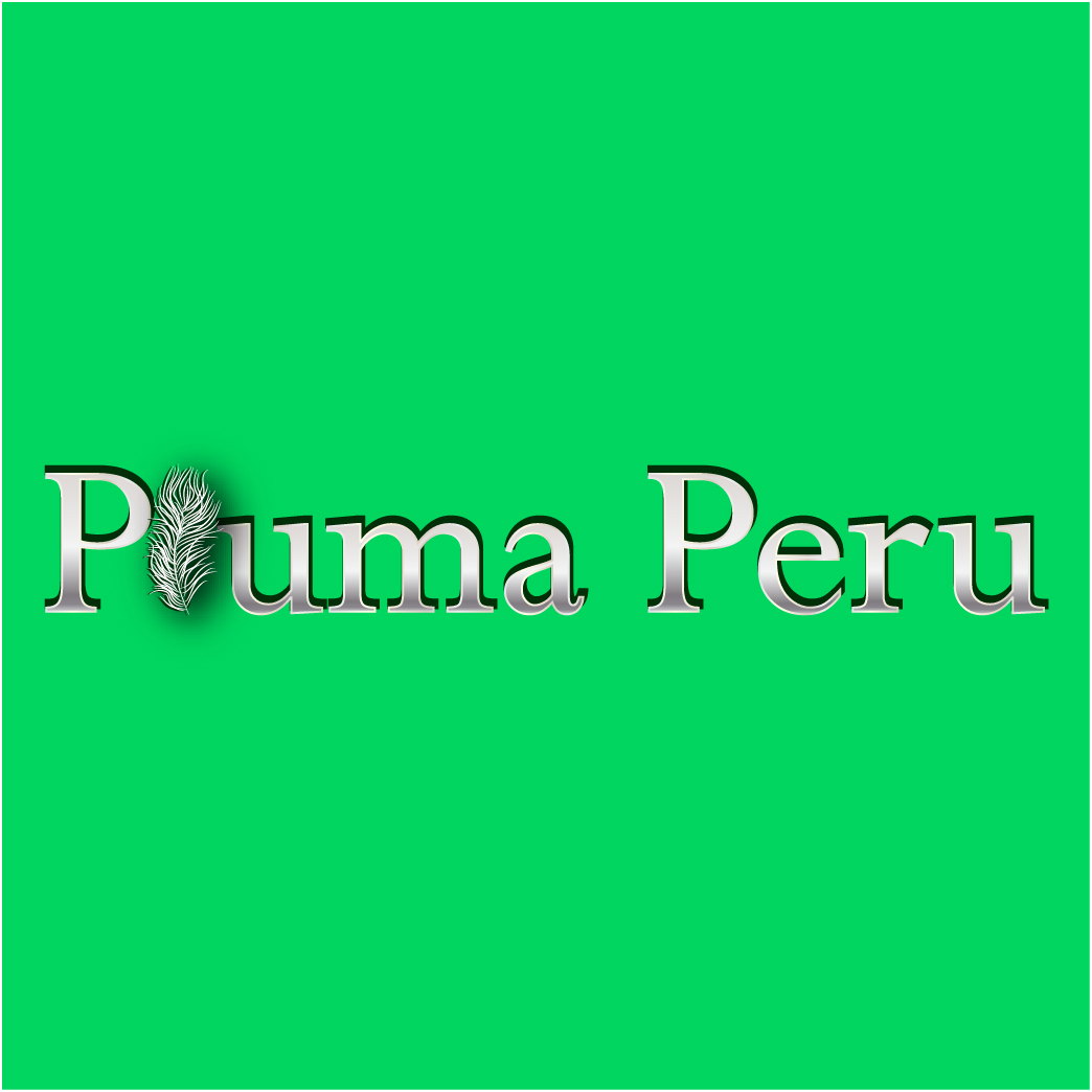 Logo Design by Archaeologo for Pluma Peru  | Design #20370397