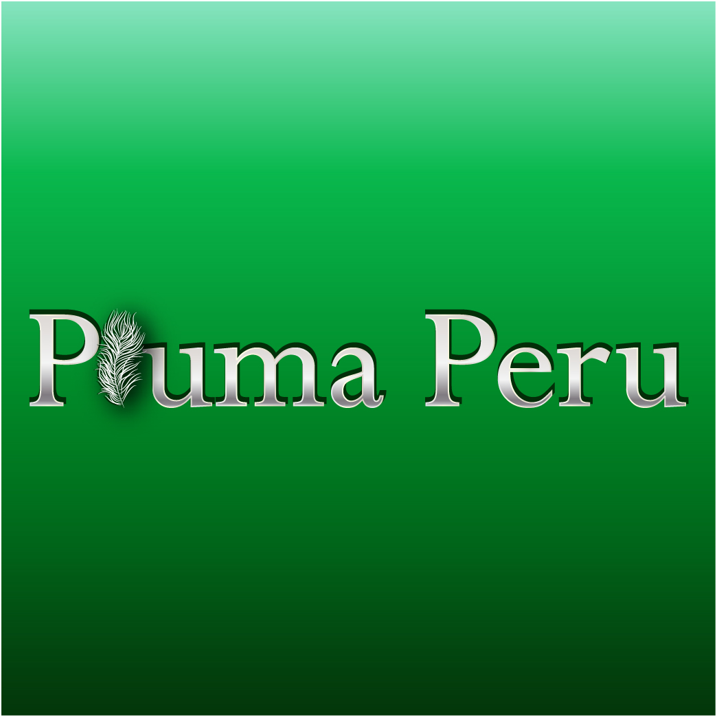 Logo Design by Archaeologo for Pluma Peru  | Design #20370398