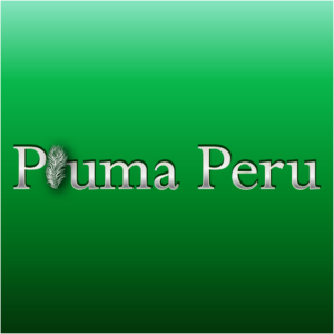 Logo Design by Archaeologo for Pluma Peru  | Design: #20370398