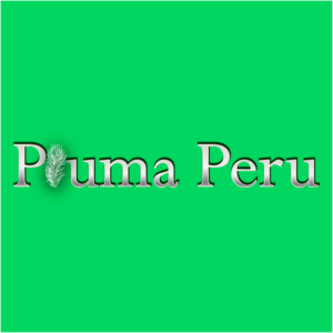 Logo Design by Archaeologo for Pluma Peru  | Design: #20370399