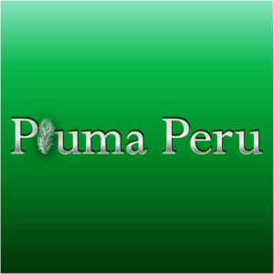 Logo Design by Archaeologo for Pluma Peru  | Design: #20370400