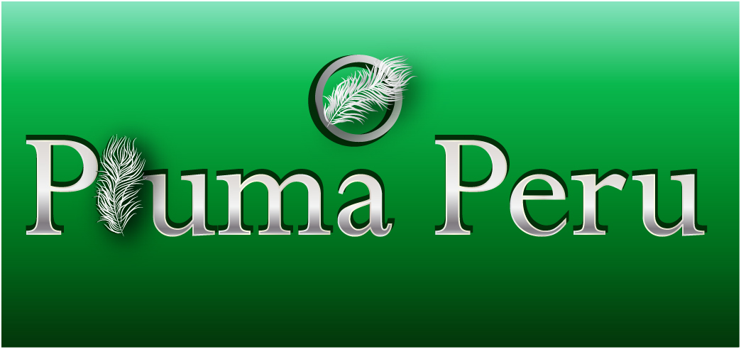 Logo-Design von Archaeologo für Pluma Peru  | Design #20372371