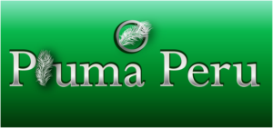 Logo Design by Archaeologo for Pluma Peru  | Design: #20372371