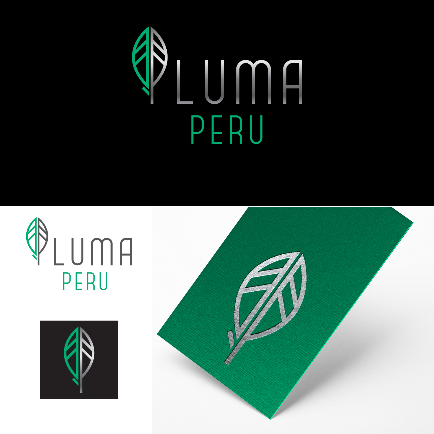Design de Logo par rls pour Pluma Peru  | Design #20346162