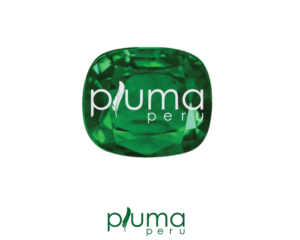 Logo Design by A S design @ for Pluma Peru  | Design: #20355847