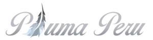 Logo Design by Shamdaxx