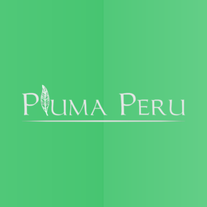 Logo Design by Archzaki_Lab