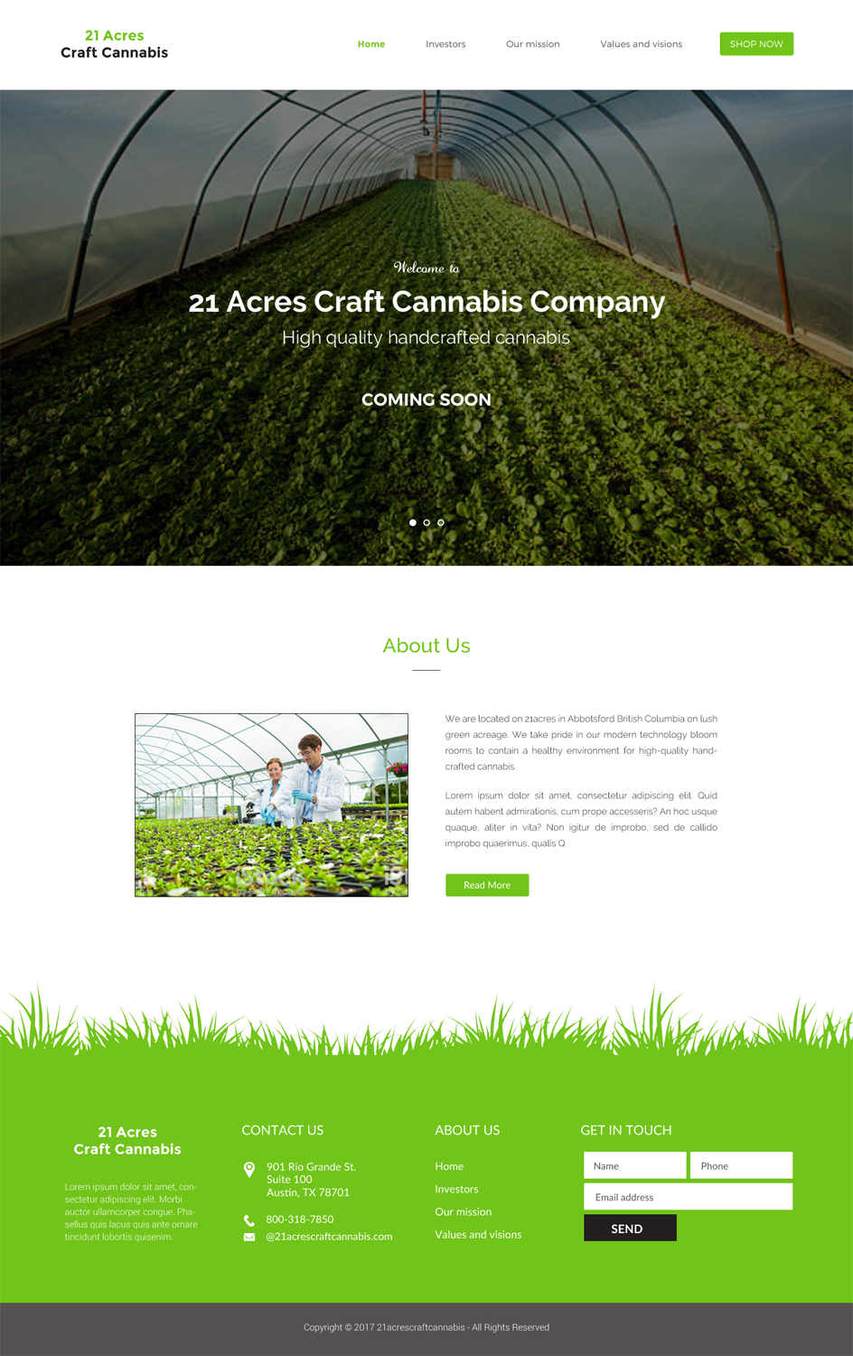 Web Design by chandrayaan.creative for this project | Design #20357672
