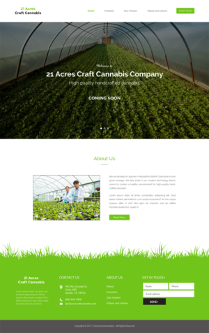 Web Design by chandrayaan.creative for this project | Design #20357672