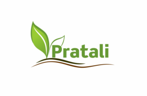 Logo Design by lessska