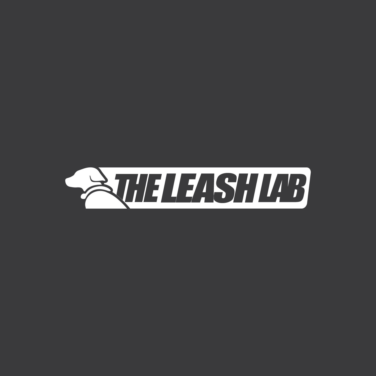 Logo Design by amerqad for this project | Design #20382708