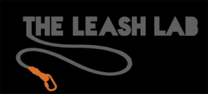 Logo Design by Daashy for this project | Design #20338982