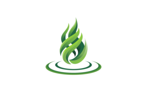 Logo Design by Gigih Rudya for DIT Web Solutions Inc. | Design #20394602