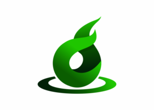Diseño de Logo por pa2pat para DIT Web Solutions Inc. | Diseño: #20336908