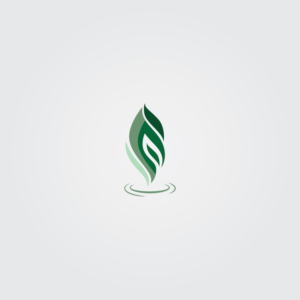 Logo Design by Jamie Designs for DIT Web Solutions Inc. | Design #20336593